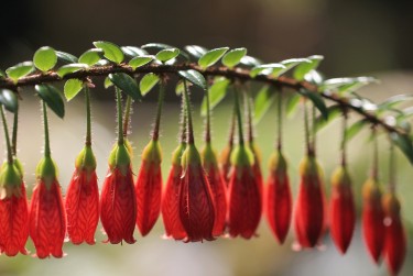 珠海斗门区私人快速借钱网，轻松解决资金难题
