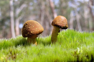 珠海斗门区私人老板放款：轻松融资的秘密通道